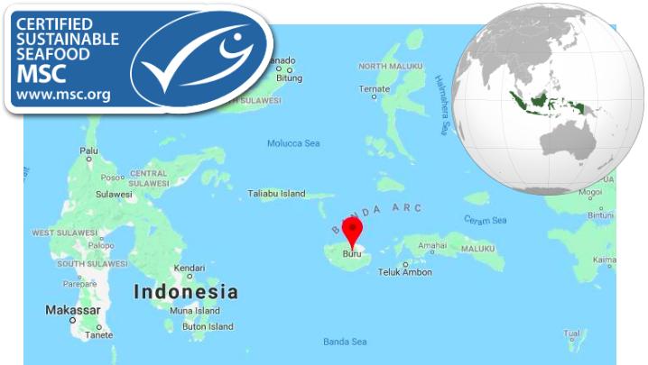 Seafood Media Group - Worldnews - Anova announces its Indonesian tuna